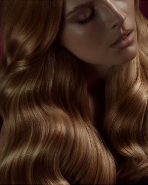 aramanyc hair i photographer araman x